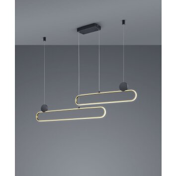 Trio Grant Hanglamp LED Messing, Zwart, 1-licht