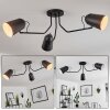 Sacriquier Plafondlamp Zwart, 3-lichts
