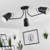 Sacriquier Plafondlamp Zwart, 3-lichts