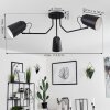 Sacriquier Plafondlamp Zwart, 3-lichts