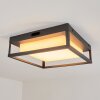 Nonza Buitenshuis plafond verlichting LED Antraciet, 1-licht