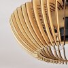 Sadeillan Plafondlamp Antraciet, 2-lichts