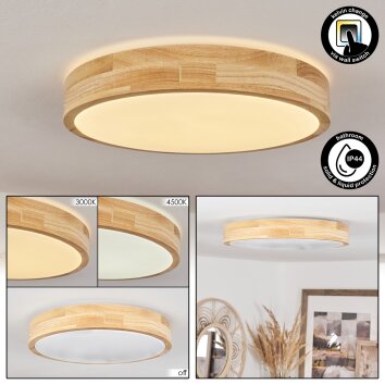 Thibouville Plafondlamp LED Wit, 1-licht