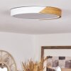 Pontchardon Plafondlamp LED Wit, 1-licht