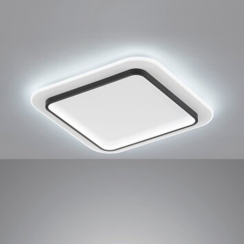 Fischer & Honsel Blithe Plafondlamp LED Zwart, Wit, 1-licht