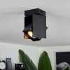 Prassinet Plafondlamp Zwart, 1-licht