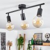 Maidford Plafondlamp Zwart, 3-lichts