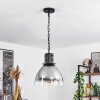 Aurouze Hanger Zwart, 1-licht