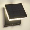 Lonquimai Solarlamp LED Zwart, 1-licht, Bewegingsmelder