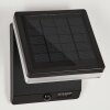 Lonquimai Solarlamp LED Zwart, 1-licht, Bewegingsmelder