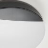 Joserand Buitenshuis plafond verlichting LED Antraciet, 1-licht