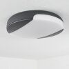 Joserand Buitenshuis plafond verlichting LED Antraciet, 1-licht