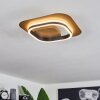 Valduge Plafondlamp LED Goud, Zwart, 1-licht