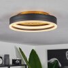 Guine Plafondlamp LED Goud, Zwart, 1-licht