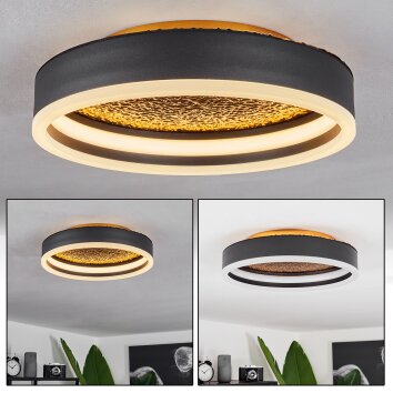 Guine Plafondlamp LED Goud, Zwart, 1-licht