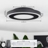 Audrieu Plafondpaneel LED Zwart, Wit, 2-lichts
