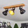 Tina Plafondlamp Bruin, Zwart, 3-lichts