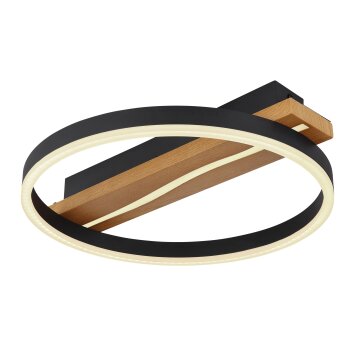 Globo SAHRA Plafondlamp LED Zwart, 1-licht, Afstandsbediening