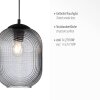 Paul Neuhaus SHITAKE Hanglamp Zwart, 1-licht