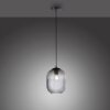 Paul Neuhaus SHITAKE Hanglamp Zwart, 1-licht