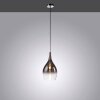 Paul Neuhaus PILUA Hanglamp Chroom, 1-licht