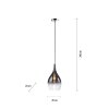 Paul Neuhaus PILUA Hanglamp Chroom, 1-licht