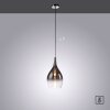Paul Neuhaus PILUA Hanglamp Chroom, 1-licht
