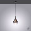 Paul Neuhaus PILUA Hanglamp Chroom, 1-licht