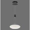 Paul Neuhaus Q-ETIENNE Hanglamp LED Zwart, 1-licht, Afstandsbediening