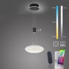 Paul Neuhaus Q-ETIENNE Hanglamp LED Zwart, 1-licht, Afstandsbediening