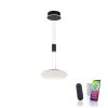 Paul Neuhaus Q-ETIENNE Hanglamp LED Zwart, 1-licht, Afstandsbediening