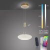 Paul Neuhaus Q-ETIENNE Hanglamp LED Messing, 1-licht, Afstandsbediening