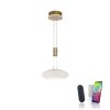 Paul Neuhaus Q-ETIENNE Hanglamp LED Messing, 1-licht, Afstandsbediening