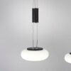 Paul Neuhaus Q-ETIENNE Hanglamp LED Zwart, 2-lichts, Afstandsbediening