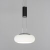 Paul Neuhaus Q-ETIENNE Hanglamp LED Zwart, 2-lichts, Afstandsbediening