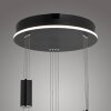 Paul Neuhaus Q-ETIENNE Hanglamp LED Zwart, 3-lichts, Afstandsbediening