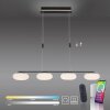 Paul Neuhaus Q-ETIENNE Hanglamp LED Zwart, 4-lichts, Afstandsbediening