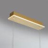 Paul Neuhaus Q-ETIENNE Hanglamp LED Messing, 4-lichts, Afstandsbediening