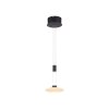 Paul Neuhaus LAUTADA Hanglamp LED Zwart, 1-licht