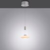 Paul Neuhaus LAUTADA Hanglamp LED Staal geborsteld, 1-licht