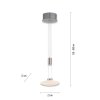 Paul Neuhaus LAUTADA Hanglamp LED Staal geborsteld, 1-licht
