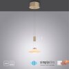 Paul Neuhaus LAUTADA Hanglamp LED Messing, 1-licht