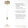 Paul Neuhaus LAUTADA Hanglamp LED Messing, 1-licht