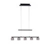 Paul Neuhaus HYDRA Hanglamp LED Zwart, 5-lichts