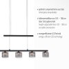 Paul Neuhaus HYDRA Hanglamp LED Zwart, 5-lichts