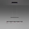 Paul Neuhaus HYDRA Hanglamp LED Zwart, 5-lichts