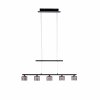 Paul Neuhaus HYDRA Hanglamp LED Zwart, 5-lichts
