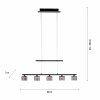 Paul Neuhaus HYDRA Hanglamp LED Zwart, 5-lichts
