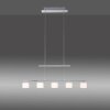 Paul Neuhaus HYDRA Hanglamp LED Staal geborsteld, 5-lichts