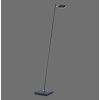 Paul Neuhaus PURE-MIRA Staande lamp LED Zwart, 1-licht, Afstandsbediening